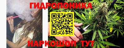apvp Краснокаменск